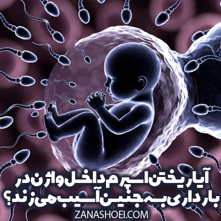 آیا ریختن اسپرم داخل واژن در بارداری به جنین آسیب می-زند؟ - تصویر 1 آیا ریختن اسپرم داخل واژن در بارداری به جنین آسیب میزند؟