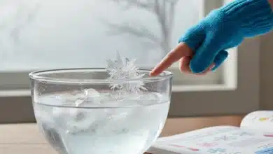 انجماد چیست کلاس سوم