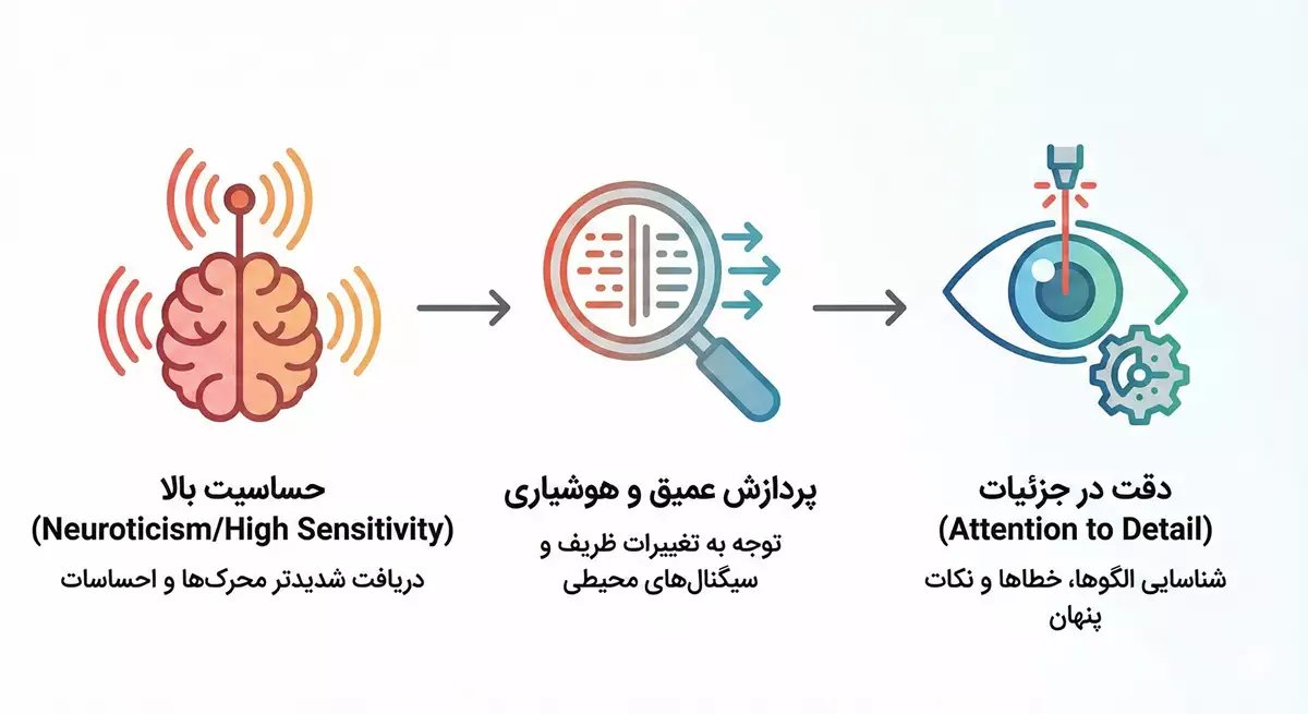 اینفوگرافیک ساده‌ای که نشان می‌دهد چطور حساسیت بالا منجر به دقت در جزئیات می‌شود
