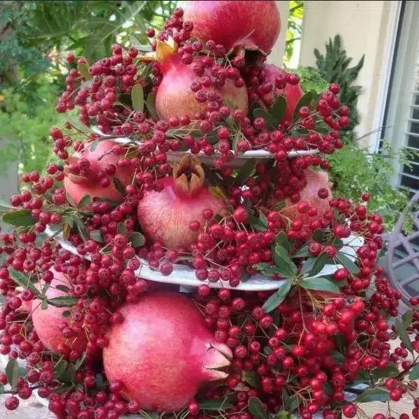 دیزاین انار شب یلدا 10