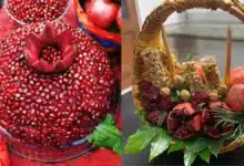 دیزاین انار شب یلدا