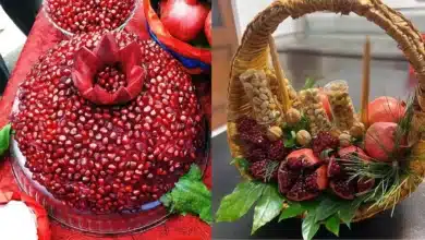 دیزاین انار شب یلدا