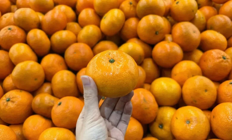 راهنمای انتخاب نارنگی‌های شیرین در فروشگاه فقط با یک نگاه به ظاهرشان