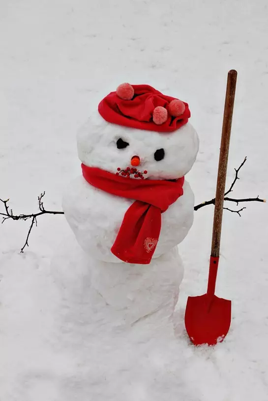 دانلود عکس‌ آدم برفی طبیعی، قشنگ و واقعی؛ مناسب پروفایل و شبکه‌های اجتماعی ❄️