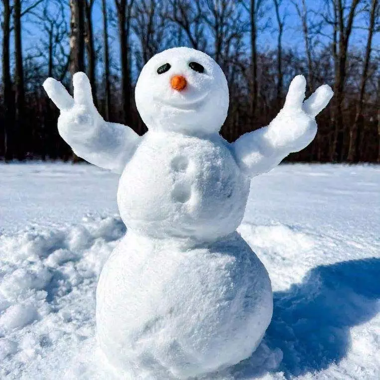 دانلود عکس‌ آدم برفی طبیعی، قشنگ و واقعی؛ مناسب پروفایل و شبکه‌های اجتماعی ❄️