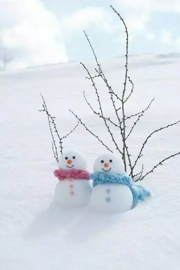 دانلود عکس‌ آدم برفی طبیعی، قشنگ و واقعی؛ مناسب پروفایل و شبکه‌های اجتماعی ❄️