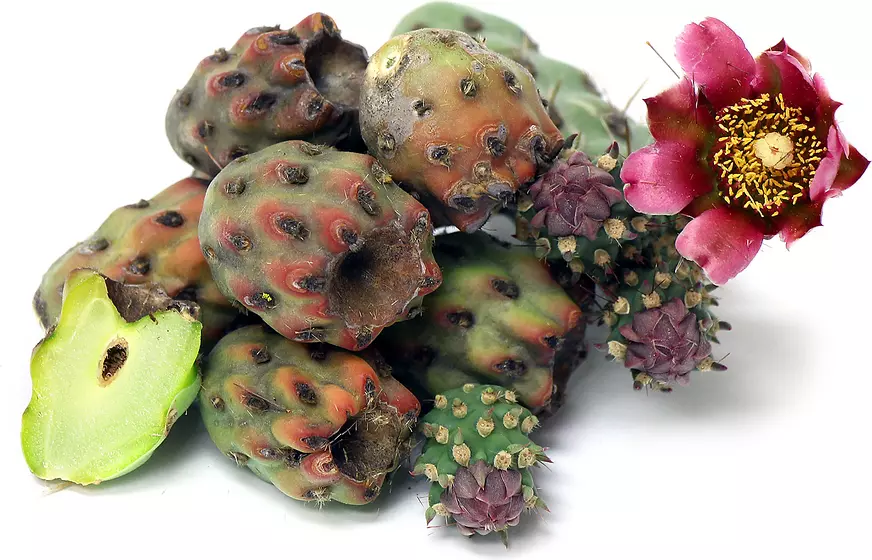 میوه‌ی کاکتوس چولا