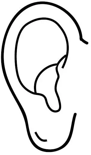 نقاشی ساختمان گوش 4 نقاشی ساختمان گوش 4