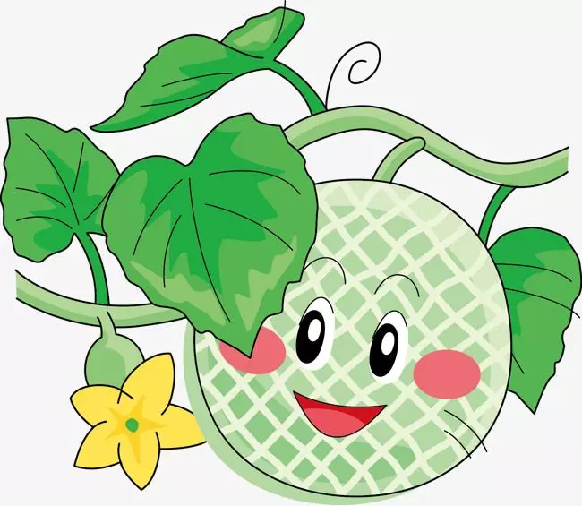 نقاشی محصولات جالیزی 14 نقاشی محصولات جالیزی 14