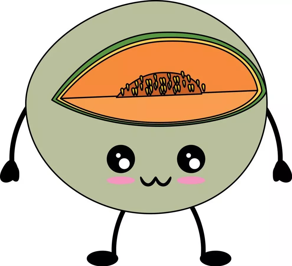 نقاشی محصولات جالیزی 22 نقاشی محصولات جالیزی 22