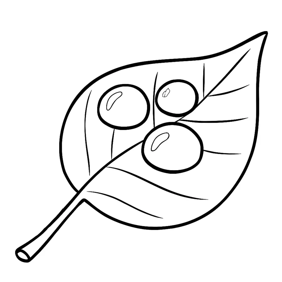 نقاشی میعان 7