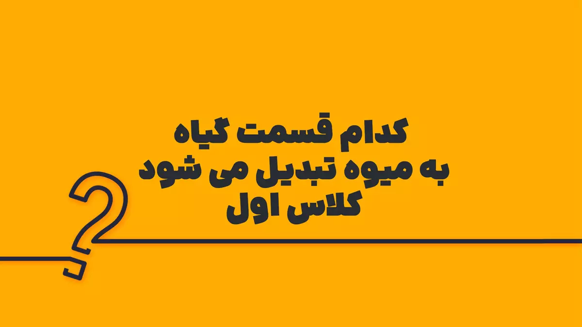 کدام قسمت گیاه به میوه تبدیل می شود کلاس اول