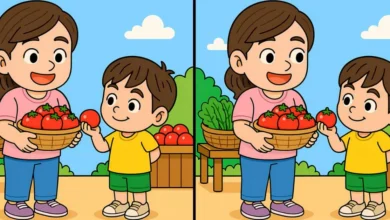 چالش تست بینایی: اگر تیزبین هستید، ۳ تفاوت این عکس را در ۴۵ ثانیه پیدا کنید!