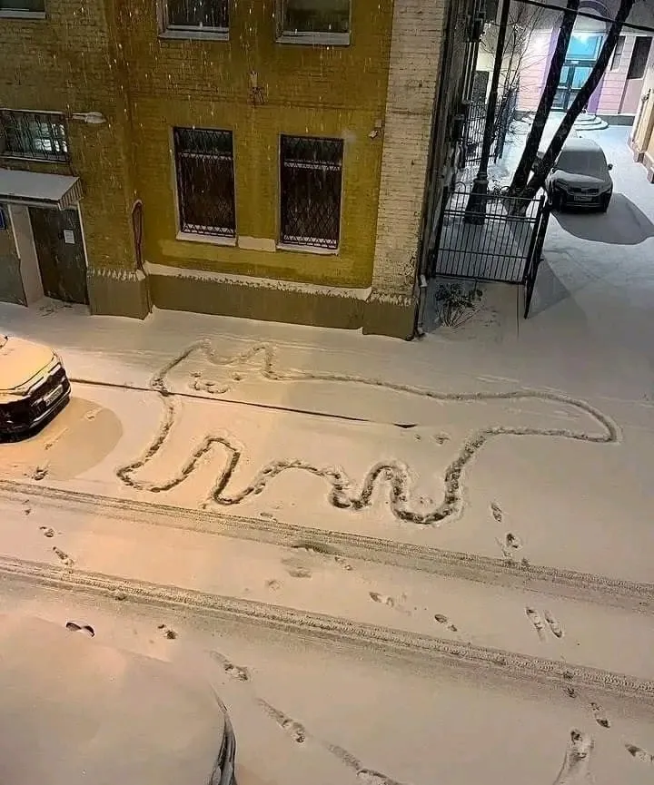 snow-on-street-looking-like-cat زمستان متفاوت؛ ۱۰ شاهکار برفی که خیابانها را به گالری هنری تبدیل کردند + عکس