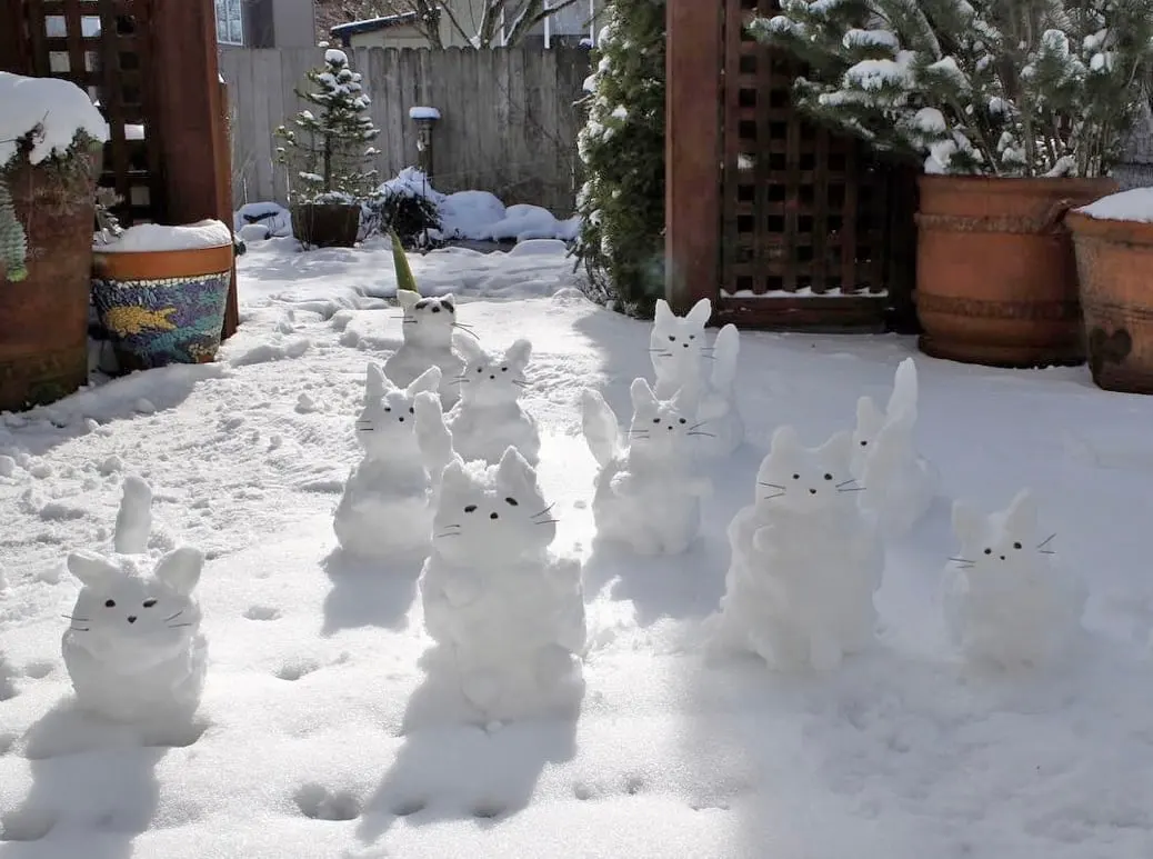 snowsculptures-looking-like-cats زمستان متفاوت؛ ۱۰ شاهکار برفی که خیابانها را به گالری هنری تبدیل کردند + عکس