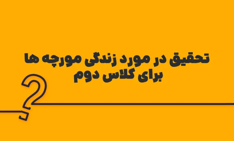 تحقیق در مورد زندگی مورچه ها برای کلاس دوم