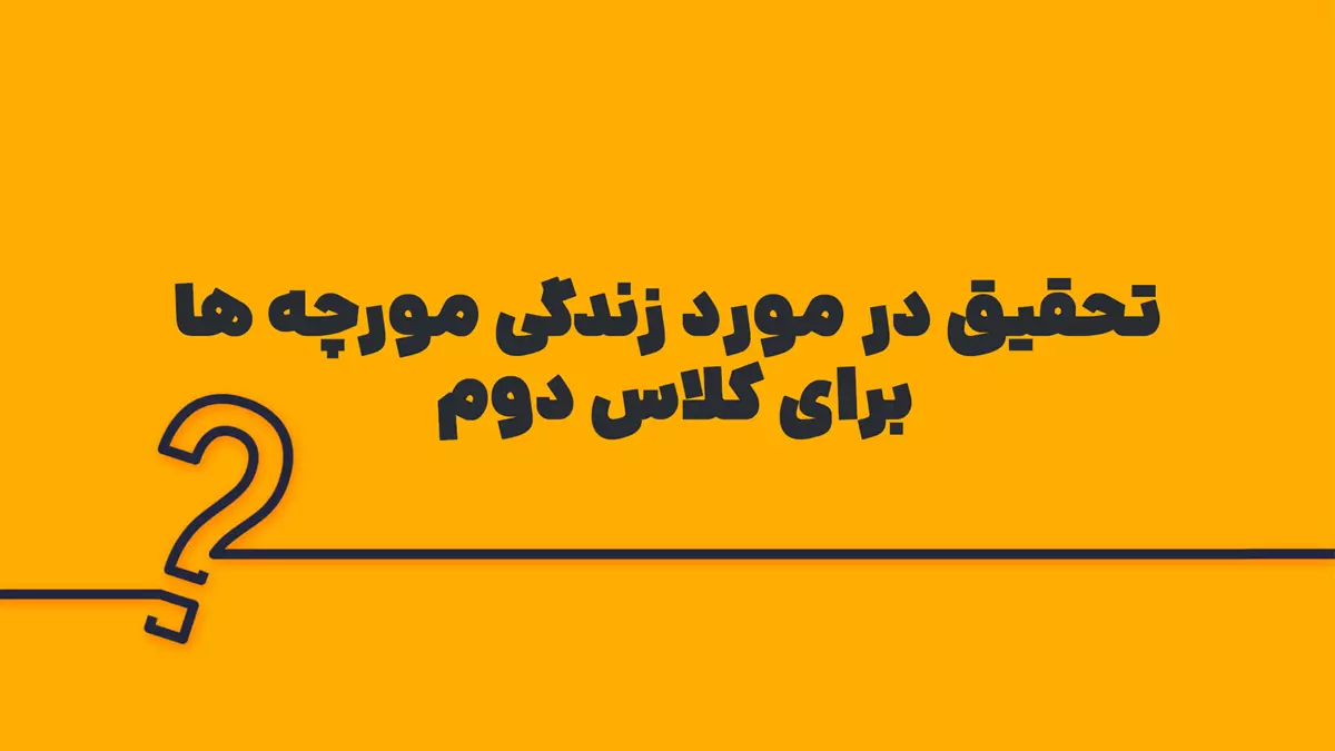 تحقیق در مورد زندگی مورچه ها برای کلاس دوم