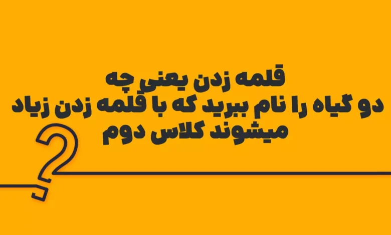قلمه زدن یعنی چه دو گیاه را نام ببرید که با قلمه زدن زیاد میشوند کلاس دوم