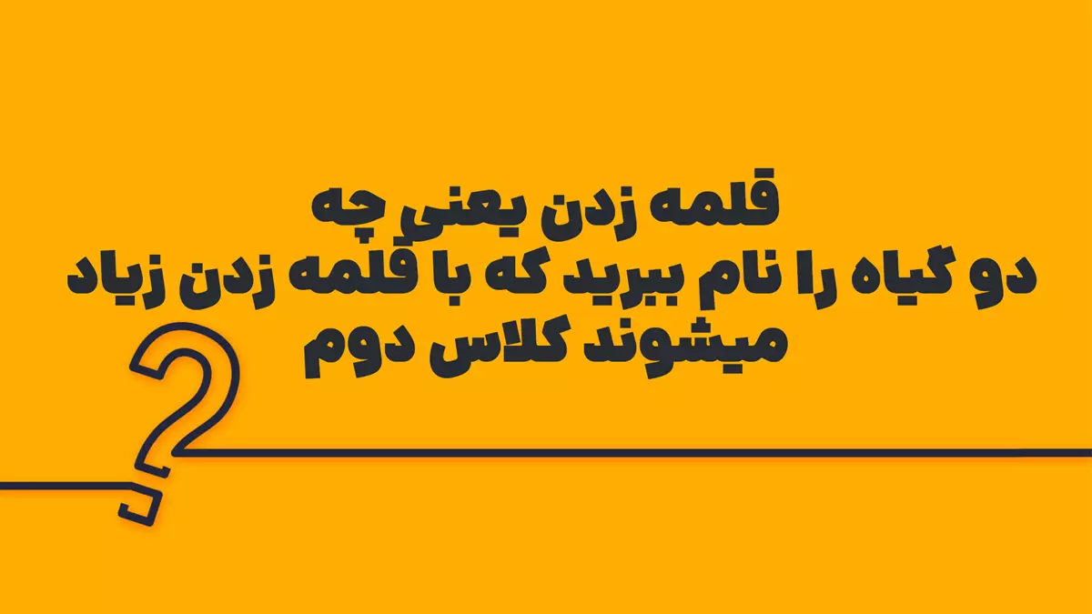 قلمه زدن یعنی چه دو گیاه را نام ببرید که با قلمه زدن زیاد میشوند کلاس دوم