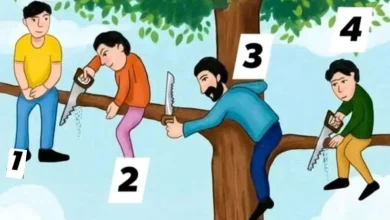 معمای مرگ و زندگی: نفر شماره چند  از این درخت سالم پایین می‌آید؟!