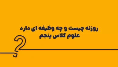 روزنه چیست و چه وظیفه ای دارد علوم کلاس پنجم