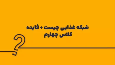 شبکه غذایی چیست + فایده کلاس چهارم