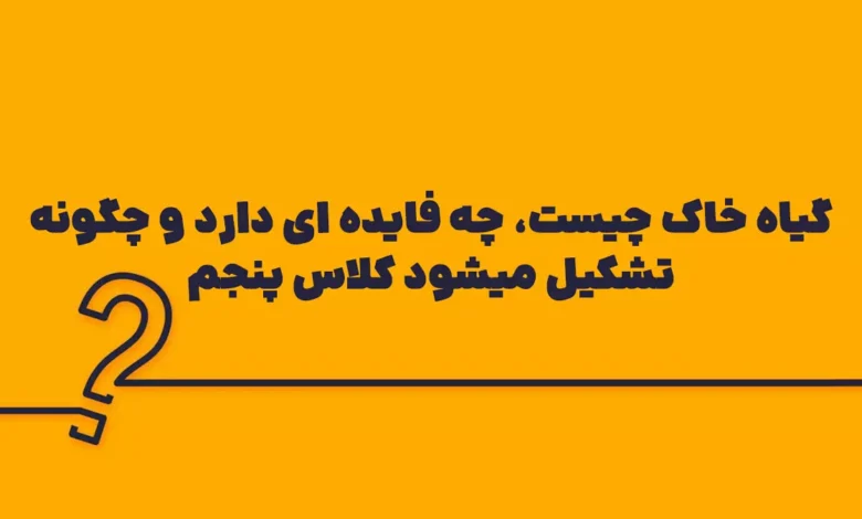 گیاه خاک چیست، چه فایده ای دارد و چگونه تشکیل میشود کلاس پنجم