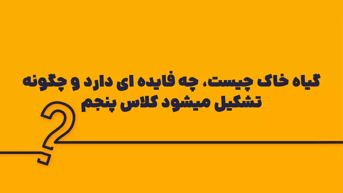 گیاه خاک چیست، چه فایده ای دارد و چگونه تشکیل میشود کلاس پنجم
