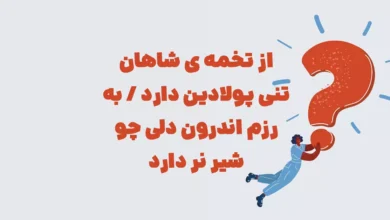 از تخمه ی شاهان تنی پولادین دارد / به رزم اندرون دلی چو شیر نر دارد
