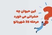 این حیوان چه حشراتی می خورد مرحله ۳۵ شهربانو