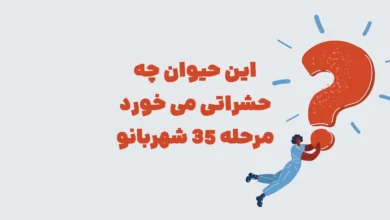 این حیوان چه حشراتی می خورد مرحله ۳۵ شهربانو