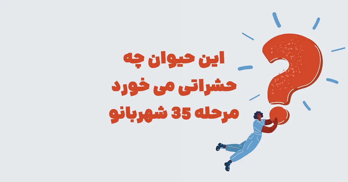 این حیوان چه حشراتی می خورد مرحله ۳۵ شهربانو
