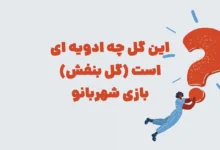 این گل چه ادویه ای است (گل بنفش) بازی شهربانو