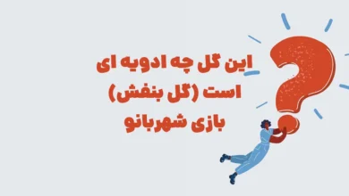 این گل چه ادویه ای است (گل بنفش) بازی شهربانو