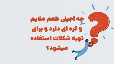چه آجیلی طعم ملایم و کره ای دارد و برای تهیه شکلات استفاده میشود؟