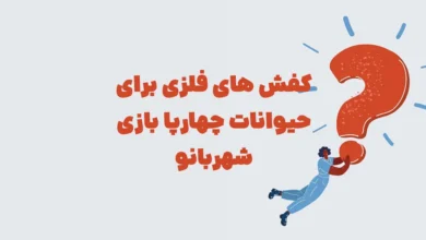 کفش های فلزی برای حیوانات چهارپا بازی شهربانو