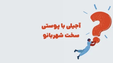 آجیلی با پوستی سخت شهربانو