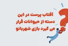 آفتاب پرست در این دسته از حیوانات قرار می گیرد بازی شهربانو