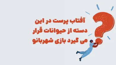 آفتاب پرست در این دسته از حیوانات قرار می گیرد بازی شهربانو