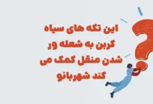 این تکه های سیاه کربن به شعله ور شدن منقل کمک می کند شهربانو
