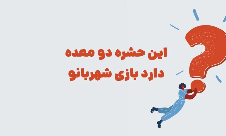 این حشره دو معده دارد بازی شهربانو