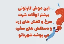 این موش کارتونی بیشتر اوقات شرت سرخ و کفش های زرد و دستکش های سفید می پوشد