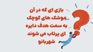 بازی ای که در آن موشک های کوچک به سمت هدف دایره ای پرتاب می شوند شهربانو