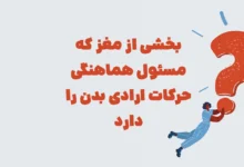 بخشی از مغز که مسئول هماهنگی حرکات ارادی بدن بازی شهربانو