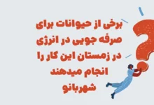 برخی از حیوانات برای صرفه جویی در انرژی در زمستان این کار را انجام میدهند شهربانو