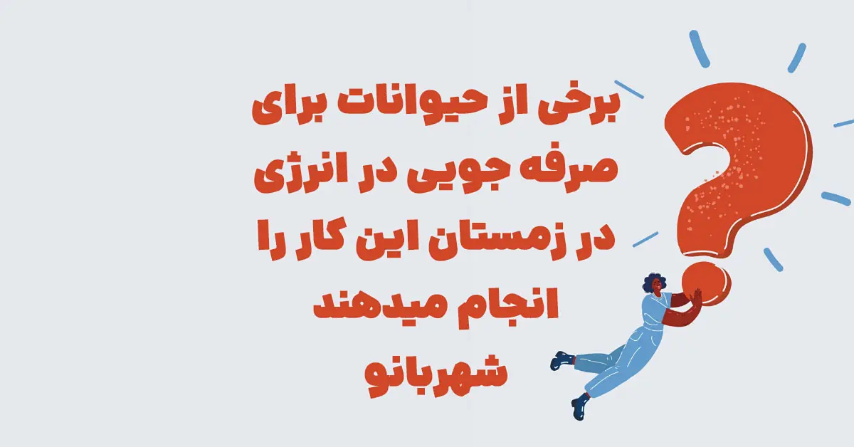 برخی از حیوانات برای صرفه جویی در انرژی در زمستان این کار را انجام میدهند شهربانو