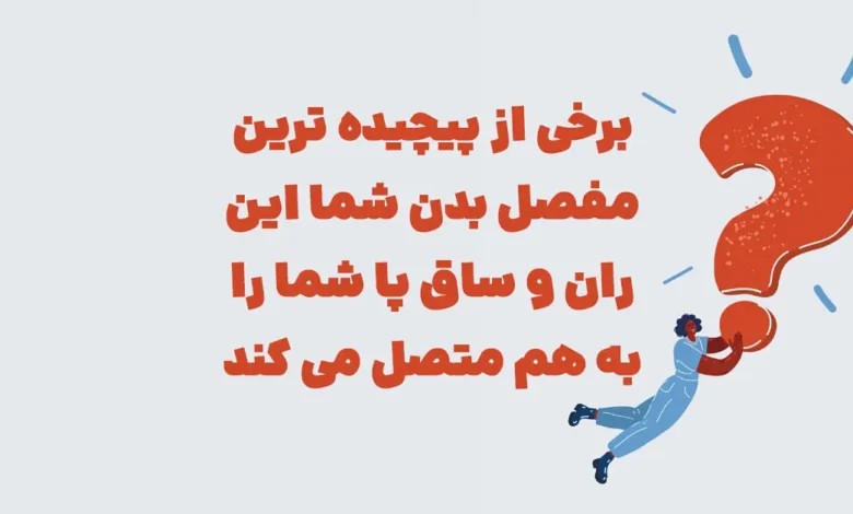 برخی از پیچیده ترین مفصل بدن شما این ران و ساق پا شما را به هم متصل می کند