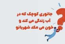 جانوری کوچک که در آب زندگی می کند و خون می مکد شهربانو