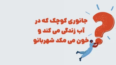 جانوری کوچک که در آب زندگی می کند و خون می مکد شهربانو