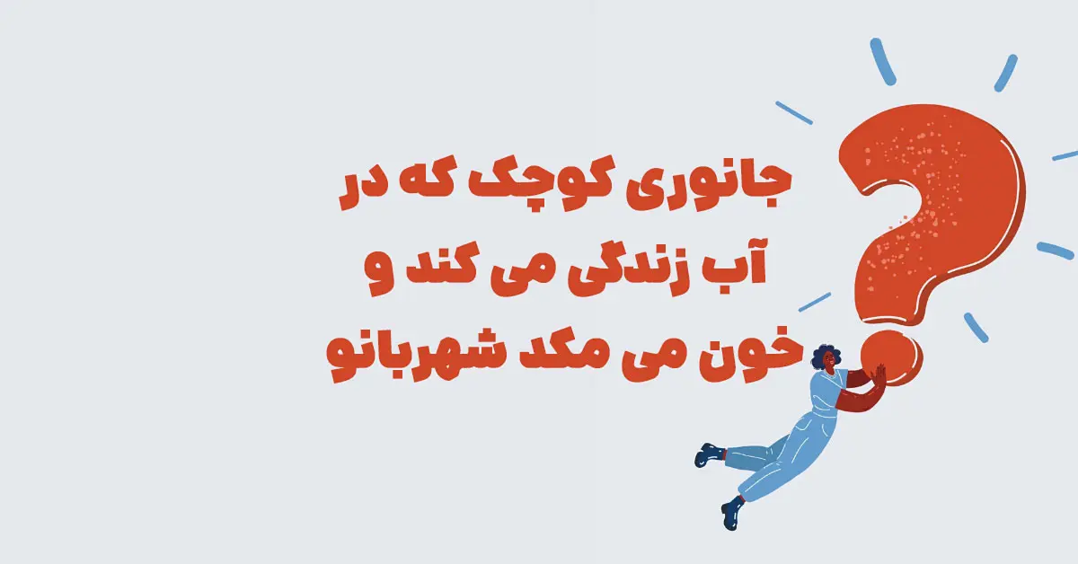 جانوری کوچک که در آب زندگی می کند و خون می مکد شهربانو